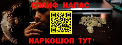 ECSTASY Гатчина