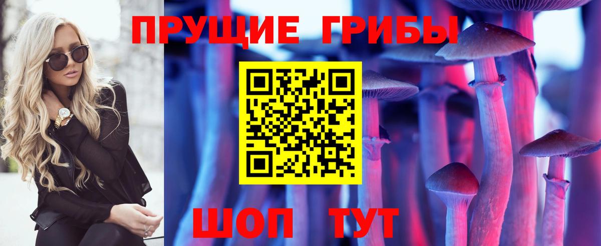 Псилоцибиновые грибы MAGIC MUSHROOMS Муром